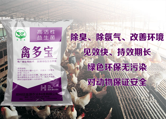 哪里有卖鸡圈除氨气产品的养鸡鸭鹅圈舍除氨气