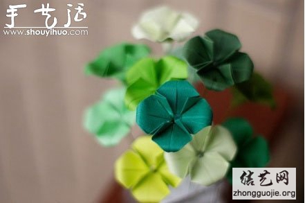 Ҷݵֹֽ -  www.shouyihuo.net