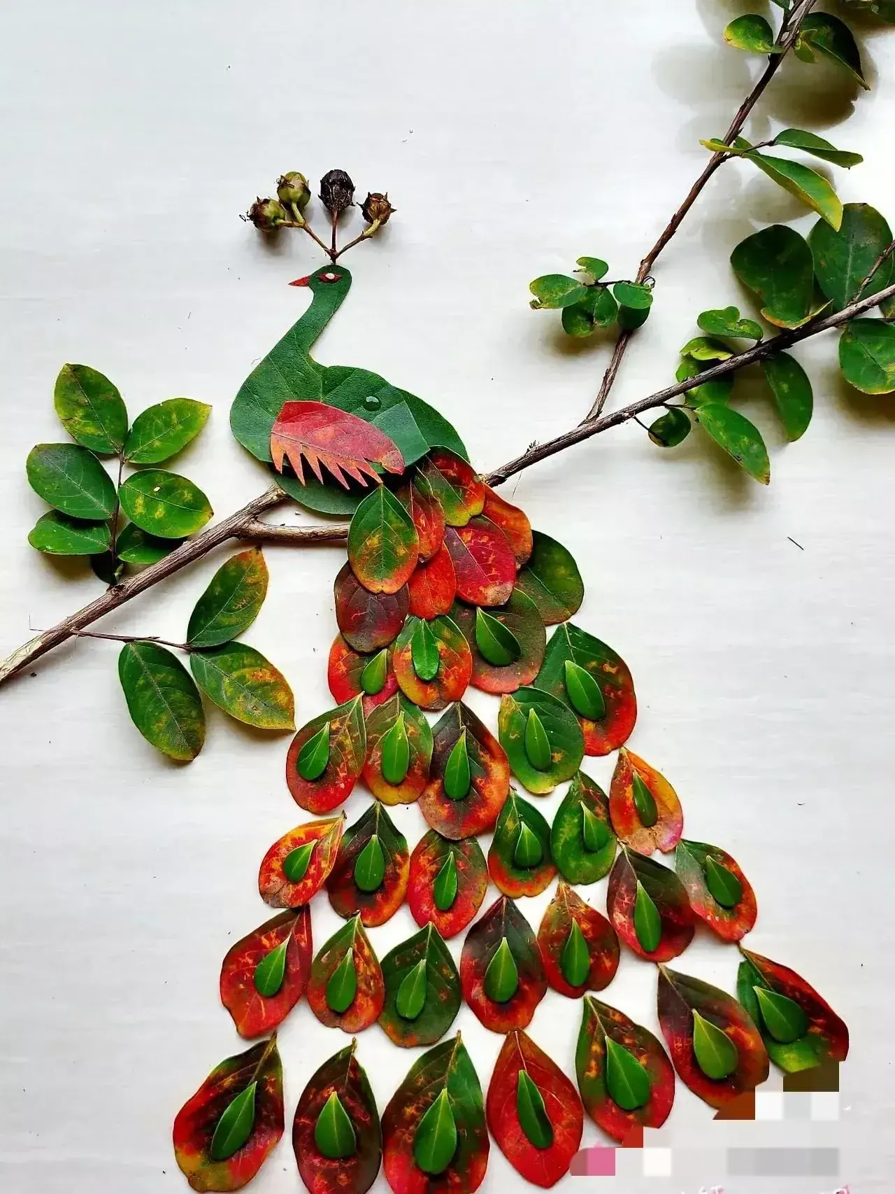 幼儿园树叶手工教程分享，几款简单好看的树叶粘贴画做法