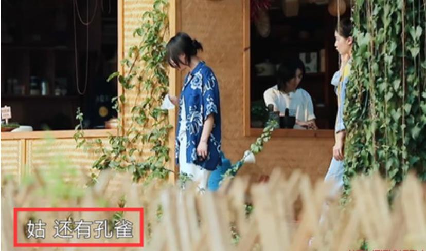 张婧仪周迅是什么关系,她叫周迅姑两人是亲戚吗